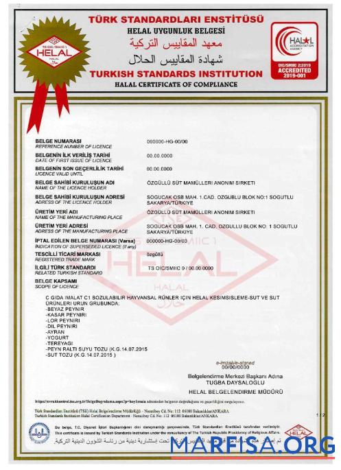 Printable Turkish Standards Institution certificate download for verification